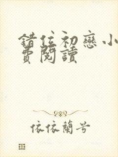 错位初恋小说免费阅读