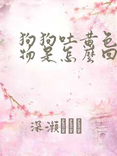 狗狗吐黄色呕吐物是怎么回事