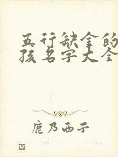 五行缺金的字男孩名字大全集