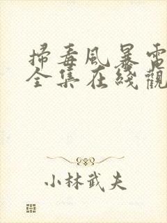 扫毒风暴电视剧全集在线观看免费高清