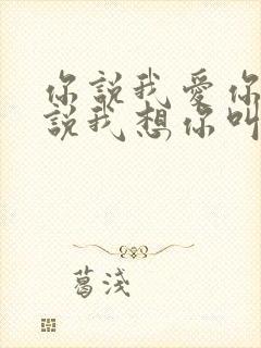 你说我爱你,你说我想你叫什么歌?