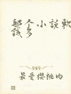 那个小说软件赚钱多