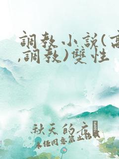 调教小说(高h,调教)双性