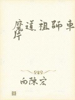 魔道祖师车文图片