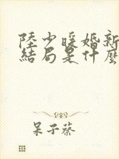 陆少暖婚新妻大结局是什么