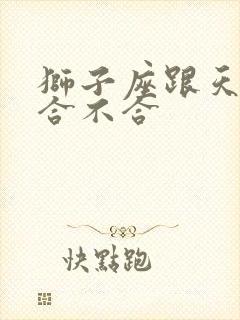 狮子座跟天秤座合不合