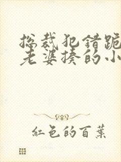 总裁犯错跪下被老婆揍的小说