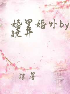 婚里婚外by叶晓井