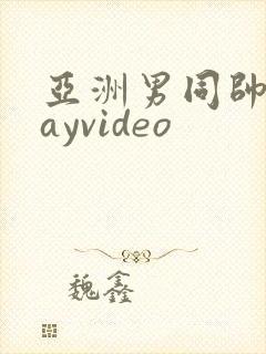 亚洲男同帅哥gayvideo