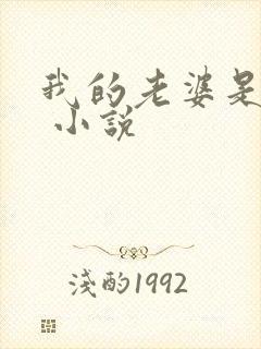 我的老婆是女神 小说