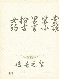 女扮男装当宰相的古言小说