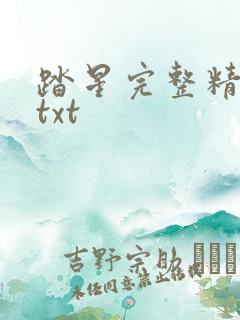 踏星完整精校版txt