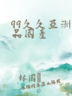 99久久亚洲精品国产