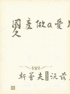 国产做a爱片久久