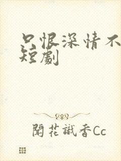 只恨深情不识鸢短剧