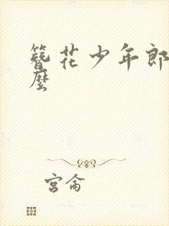 簪花少年郎讲什么