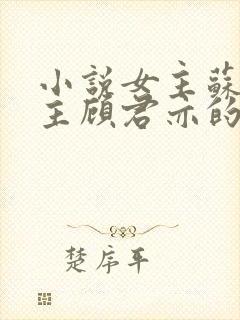 小说女主苏杳男主顾君亦的小说免费