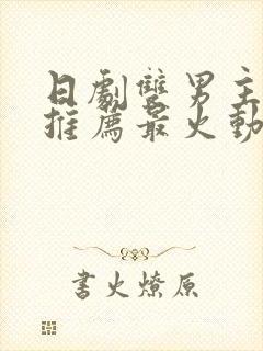 日剧双男主大尺推荐最火动漫