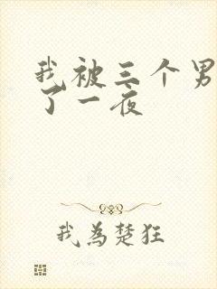 我被三个男人操了一夜