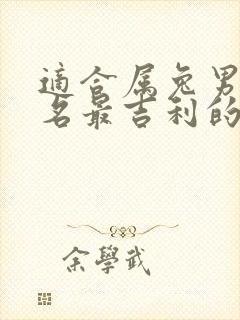 适合属兔男孩取名最吉利的字