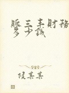 账三丰财务软件多少钱