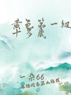 黄色第一级片二十多岁