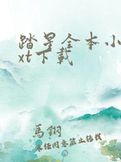 踏星全本小说txt下载