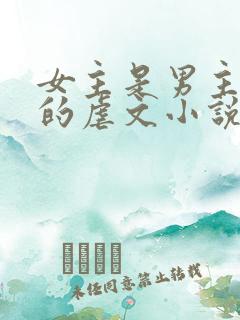 女主是男主保镖的虐文小说