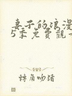 妻子的浪漫旅行5季免费观看全集完整版