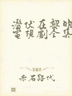 潜伏在黎明之前电视剧全集免费