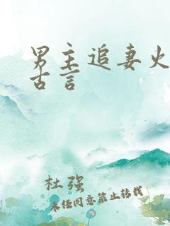 男主追妻火葬场古言