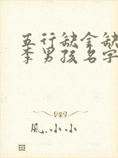 五行缺金缺火姓李男孩名字