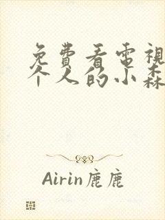 免费看电视剧两个人的小森林全集