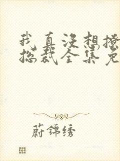 我真没想撩美女总裁全集免费