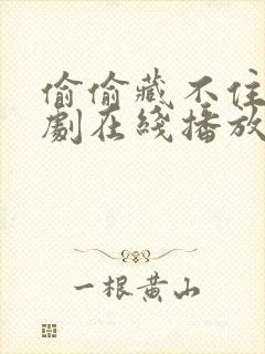 偷偷藏不住电视剧在线播放免费