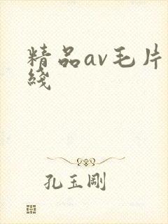 精品av毛片在线