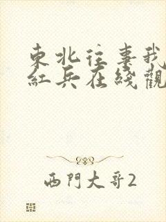 东北往事我叫赵红兵在线观看免费高清