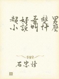 超好看双男主的小说叫什么