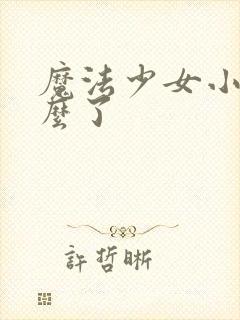 魔法少女小圆怎么了