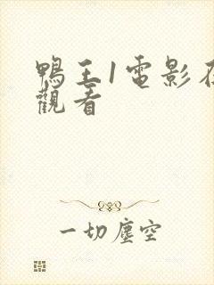 鸭王1电影在线观看