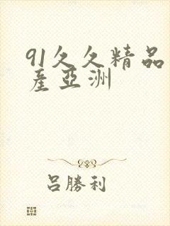 91久久精品国产亚洲