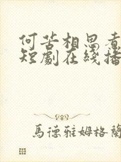 何苦相思煮余年短剧在线播放