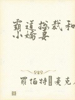 霸道总裁和她的小娇妻