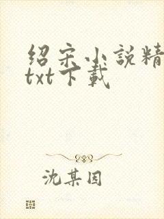 绍宋小说精校版txt下载