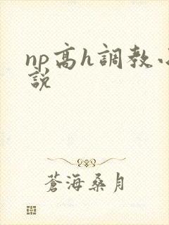 np高h调教小说