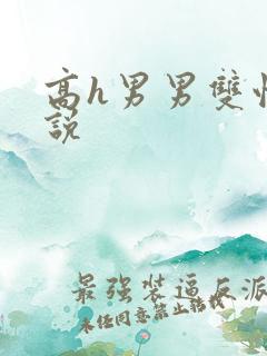 高h男男双性小说