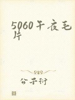5060午夜毛片