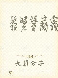 楚昭烨宋念安小说免费阅读最新章节