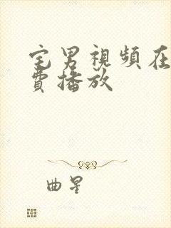 宅男视频在线免费播放