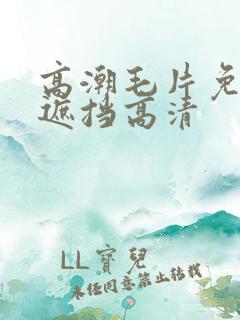 高潮毛片免费无遮挡高清